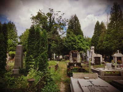 Medium naslovna groblja