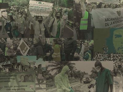 Medium phd banner shaded 3