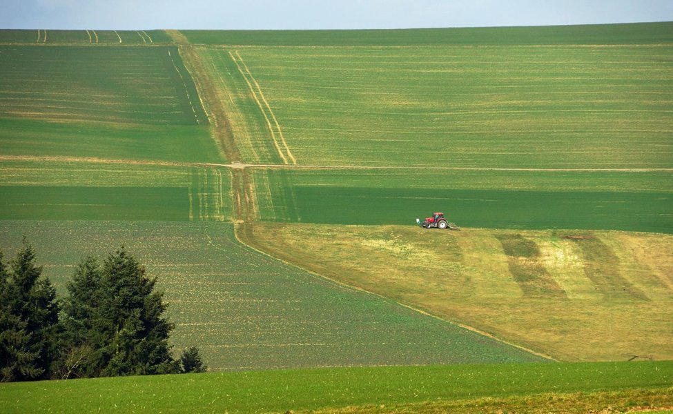 Large elkaypics lutz koch