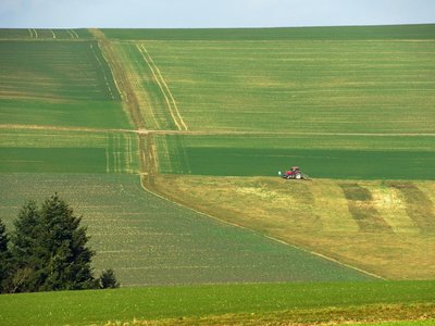 Medium elkaypics lutz koch