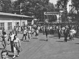 Small borovo