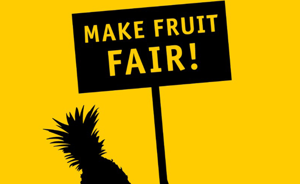 Large fairtrade make fruit fair 800