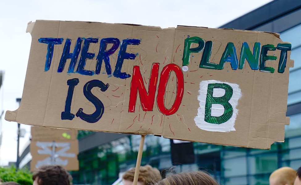 Large fridays for future climate strike demonstration school strike